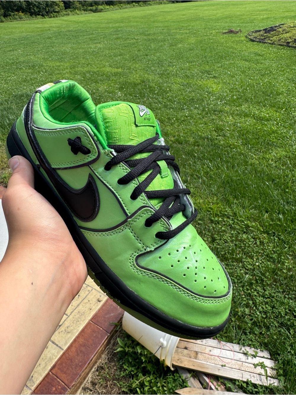 Nike SB Dunk Low x Powerpuff Girls “Buttercup” 💚 — Size 9.5